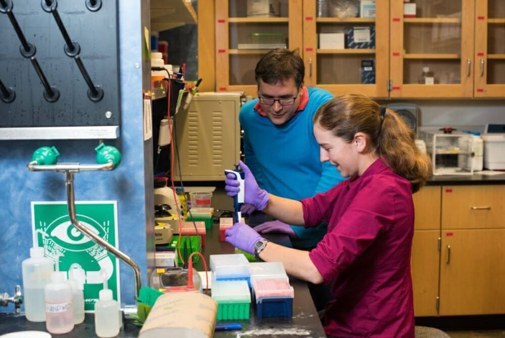 Доцент Луис Энрике Сиза (в синем) и ученый-исследователь Ли Органик подготавливают ДНК, содержащую цифровые данные